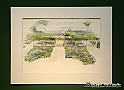 VBS_1230 - Castello di Miradolo - Mostra Oltre il giardino l'Abbecedario di paolo Pejrone